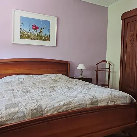 Denise - Base Ideale Pour Explorer L'alsace, Emplacement Privilegie Entre Vignes Et Vosges