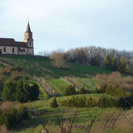 Denise - Base Idéale Pour Explorer L'alsace, Emplacement Privilégié Entre Vignes Et Vosges * Thanvillé