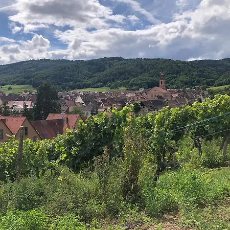 Denise - Base Ideale Pour Explorer L'alsace, Emplacement Privilegie Entre Vignes Et Vosges Appartement