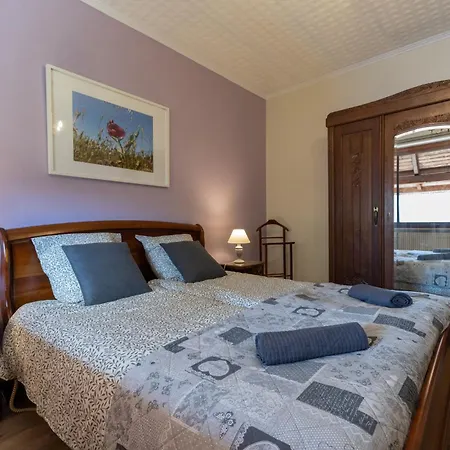 Denise - Base Ideale Pour Explorer L'alsace, Emplacement Privilegie Entre Vignes Et Vosges Thanvillé