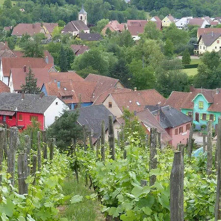 Lägenhet Denise - Base Ideale Pour Explorer L'alsace, Emplacement Privilegie Entre Vignes Et Vosges Thanvillé