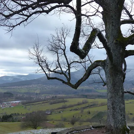 Denise - Base Ideale Pour Explorer L'alsace, Emplacement Privilegie Entre Vignes Et Vosges *