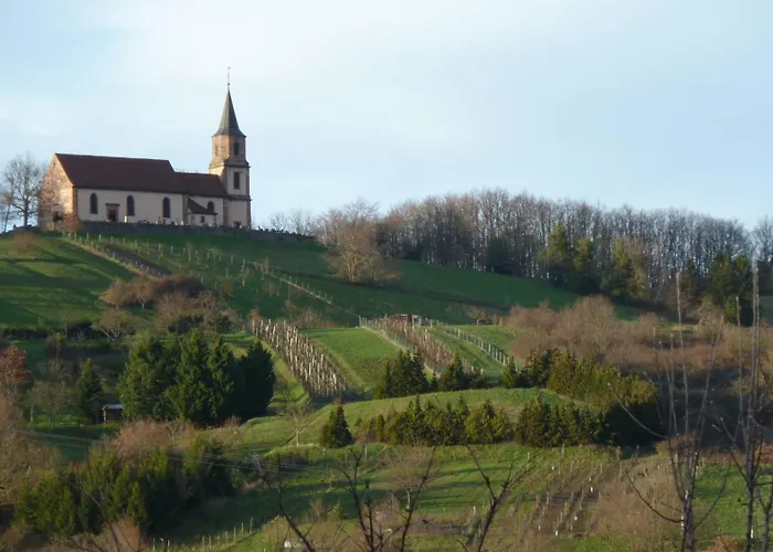 Denise - Base Ideale Pour Explorer L'alsace, Emplacement Privilegie Entre Vignes Et Vosges * Thanvillé