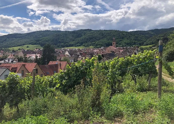 Denise - Base Ideale Pour Explorer L'alsace, Emplacement Privilegie Entre Vignes Et Vosges شقة