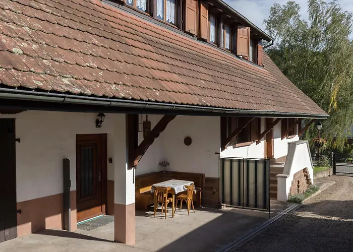 Denise - Base Ideale Pour Explorer L'alsace, Emplacement Privilegie Entre Vignes Et Vosges Thanvillé